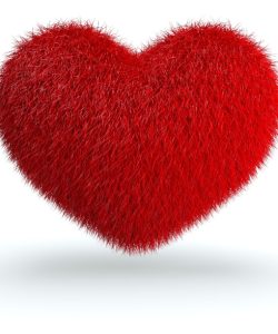 Red Fur Heart